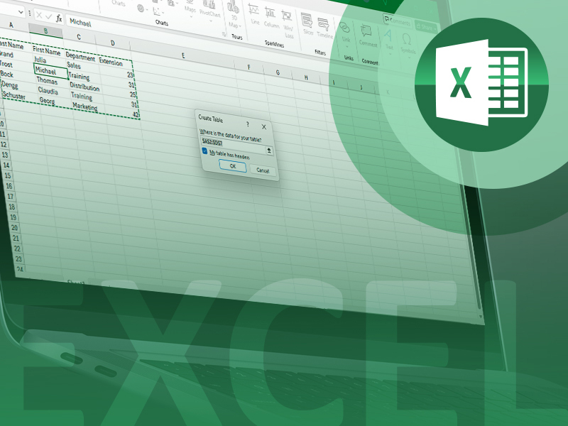 E-Learning Kurs zum Thema Microsoft Excel 2024 | Datenbankeinführung